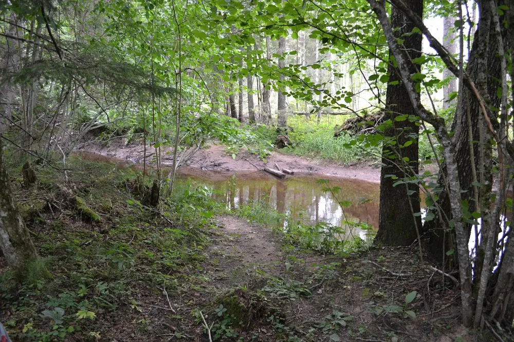 Ura jõe äärne loodusraja lõik